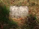image of grave number 345876